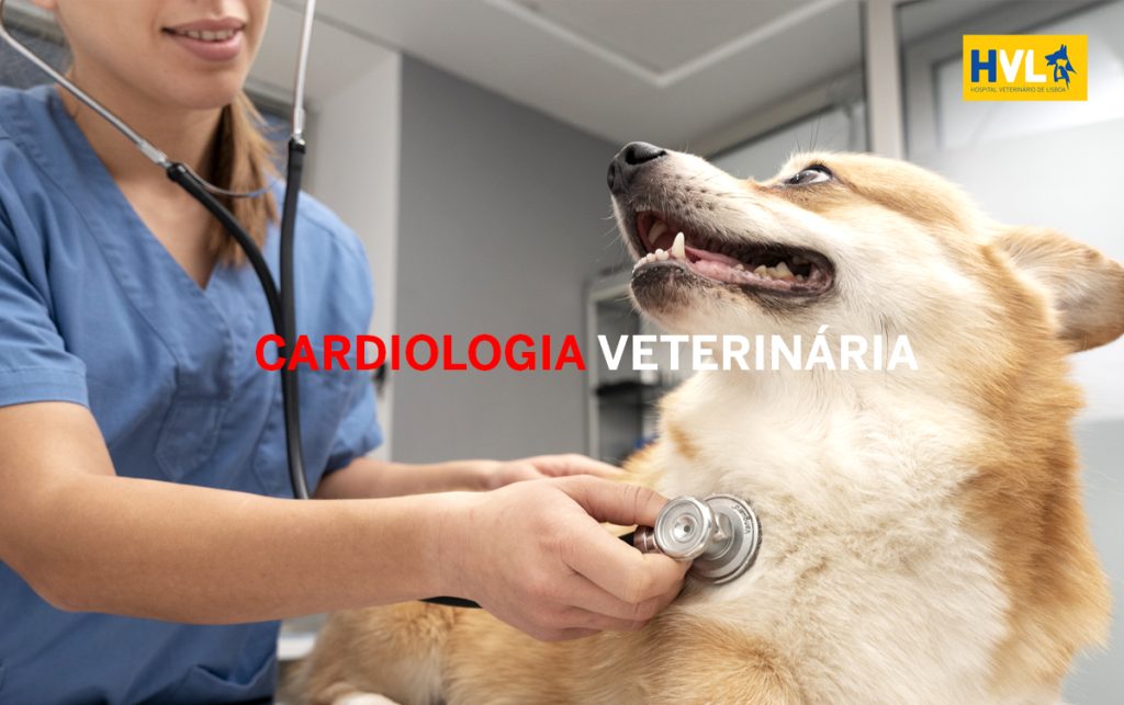 Cardiologia veterinária HVL - Hospital Veterinário de Lisboa
